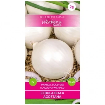 Cebula Biała Agostana Nasiona 2 g
