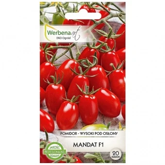 Pomidor Wysoki Mandat F1 Nasiona Werbena 20 szt.