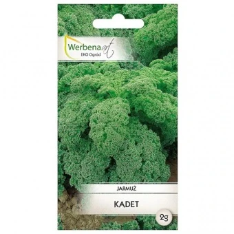 Jarmuż Kadet Nasiona 2 g