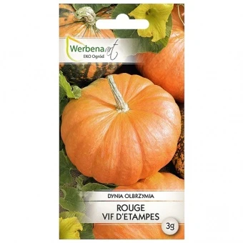 Dynia Olbrzymia Rouge Vif D'Etampes Nasiona 3 g