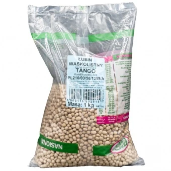 Łubin wąskolistny słodki Tango C/1 na poplon 1 kg 