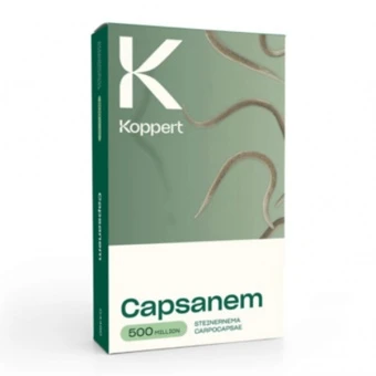 Capsanem Pożyteczne Nicienie 2X250 milionów na turkucia podjadka