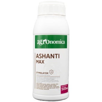 Ashanti Max 0,5L