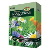 Kup razem Mieszanka Traw i kwiatów polnych Łąka kwietna ponad 20 rodzajów nasion 1 kg