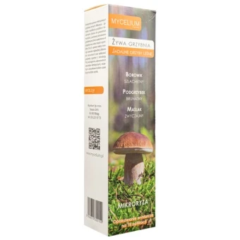 MIKORYZA JADALNE GRZYBY LEŚNE 300ML
