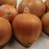 Cebula Amfora F1 Nasiona 250 tys.