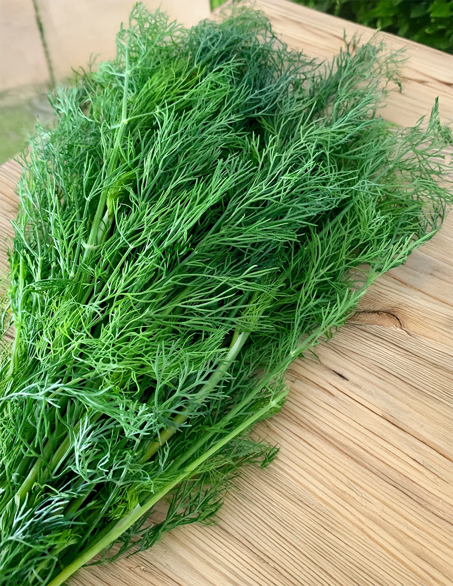 Koper Ogrodowy Lukullus Nasiona 500 g