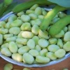 Bób Bizon Nasiona 500 g