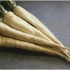 Pietruszka Korzeniowa Arat Nasiona 500 g