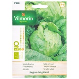 Kup razem Sałata Krucha Regina Dei Ghiacci BIO Nasiona Vilmorin 0,5 g