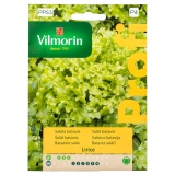 Kup razem Sałata Lirice typ Batavia Nasiona Vilmorin 0,5 g