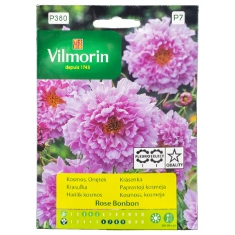 Kosmos Rose Bonbon Różowy Nasiona Vilmorin 0,5 g