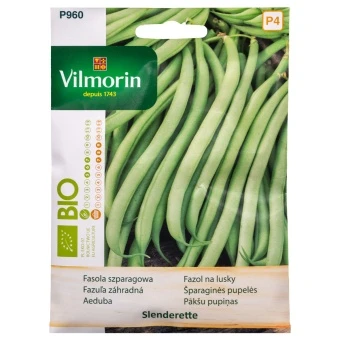 Fasola Szparagowa Zielona Slenderette BIO Nasiona Vilmorin 20 g