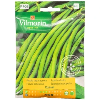 Fasola Szparagowa Zielona Oxinel Nasiona Vilmorin 30 g