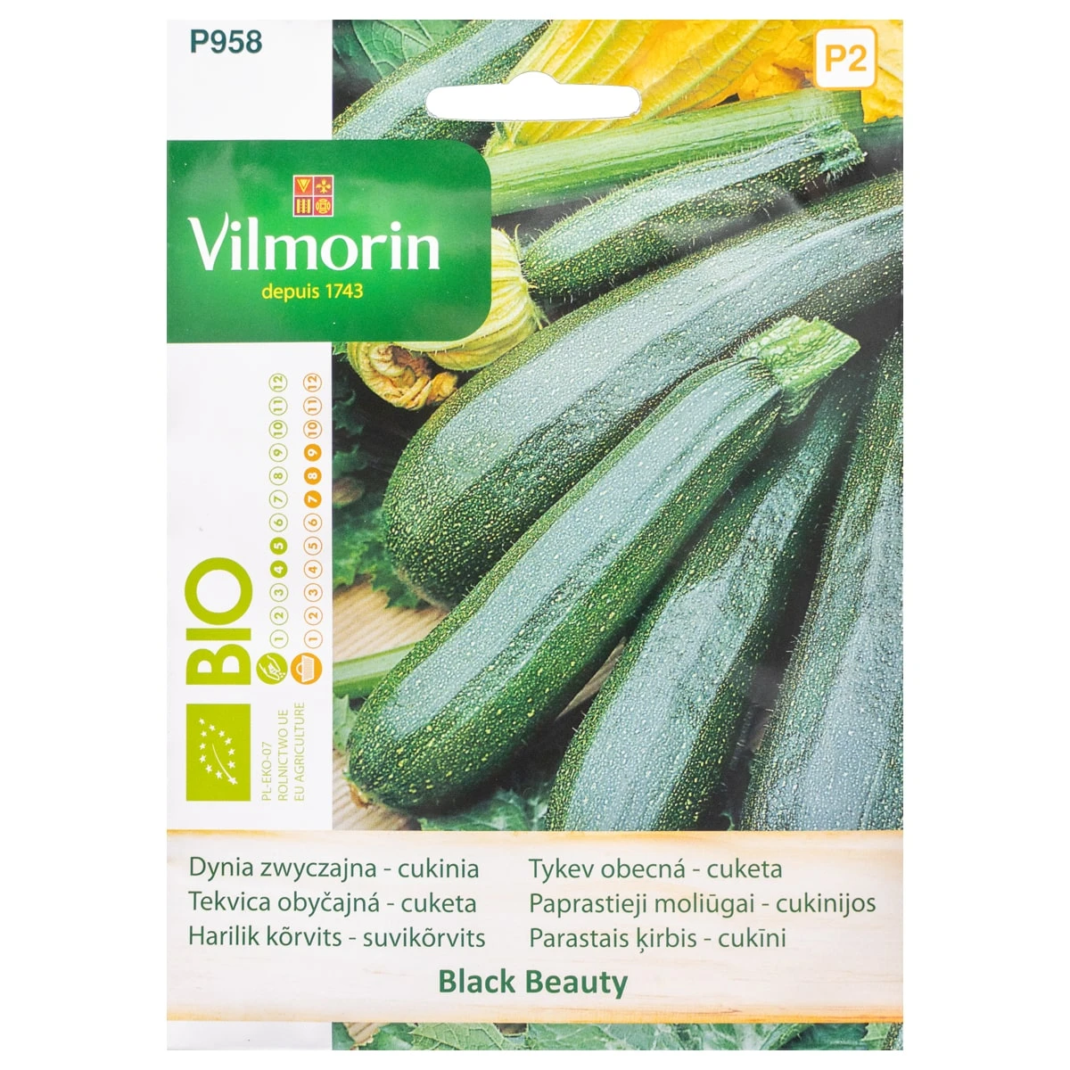 Dynia Zwyczajna Black Beauty BIO Nasiona Vilmorin 2 g
