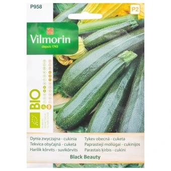 Dynia Zwyczajna Black Beauty BIO Nasiona Vilmorin 2 g