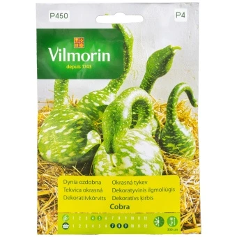 Dynia Ozdobna Cobra Nasiona Vilmorin 6 szt.