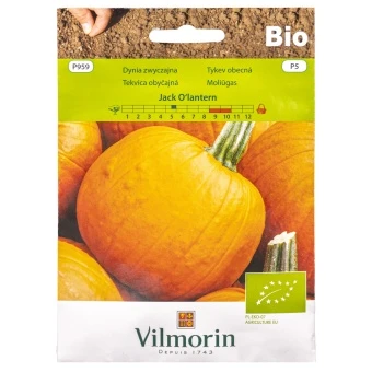 Dynia Jack O' Lantern BIO Nasiona Vilmorin 3 g