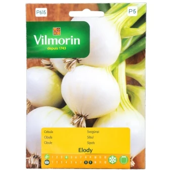 Cebula Elody Biała Nasiona Vilmorin 3 g