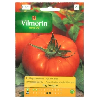 Pomidor Gruntowy Big League Nasiona Vilmorin 15 szt.