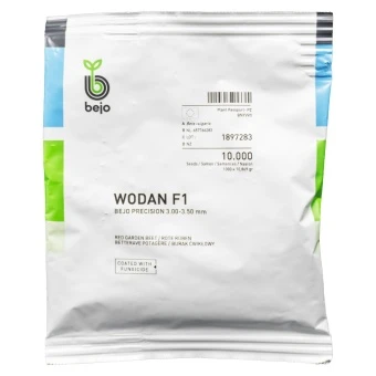 Burak Ćwikłowy Wodan (3,0 - 3,5) Nasiona 10 tys.