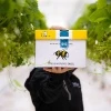 Trzmiele zapylające jesienno-zimowe Natupol Excel