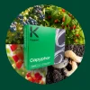 Capyphor / Heterorhabditis Bacteriophora / Larvanem / Pożyteczne Nicienie 4x750 Milionów