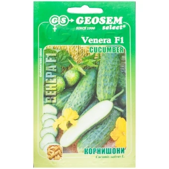 Ogórek gruntowy Venera nasiona Geosem 25 szt.