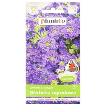 Werbena Ogrodowa Fioletowa Nasiona Plantico 0,5 g