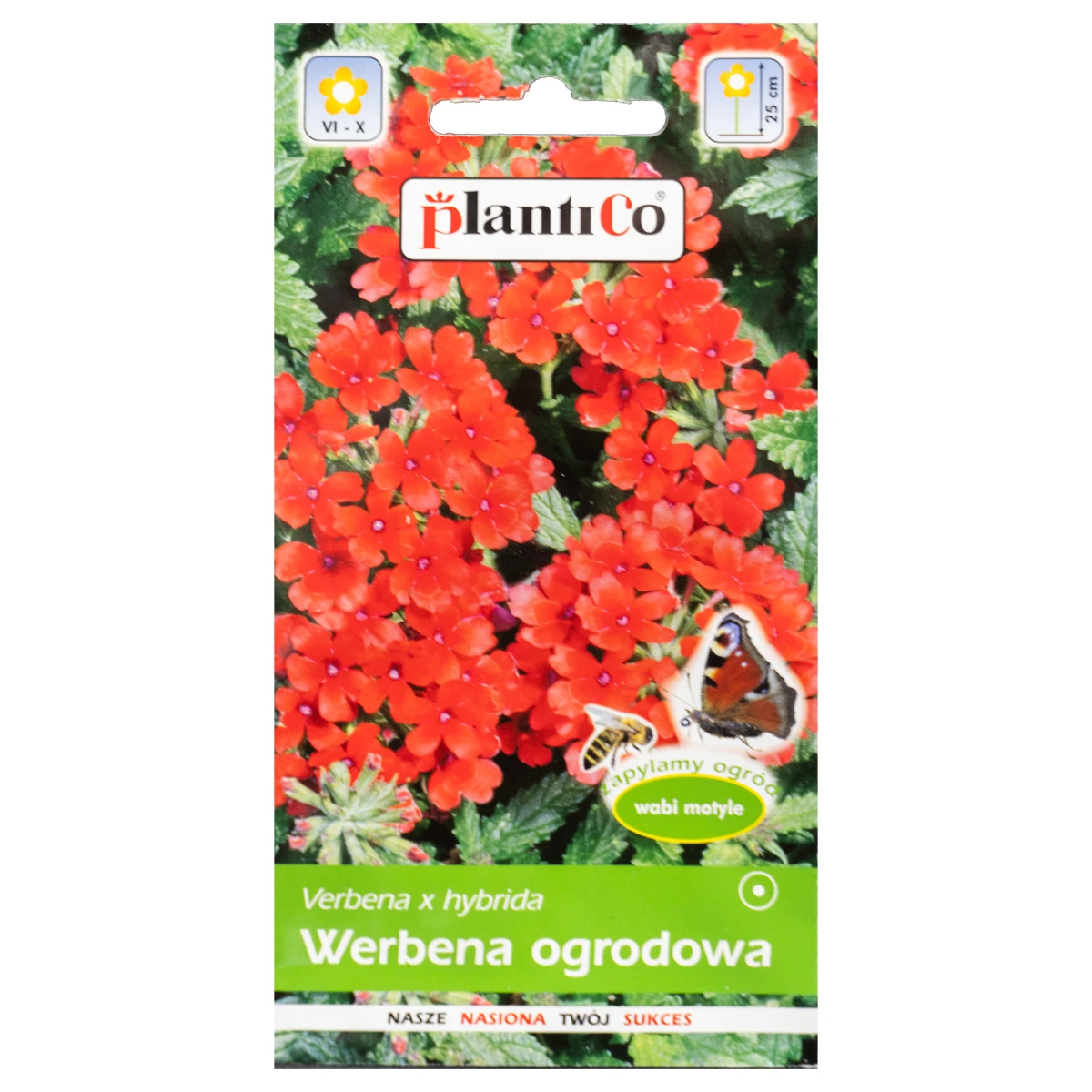Werbena Ogrodowa Czerwona Nasiona Plantico 0,5 g