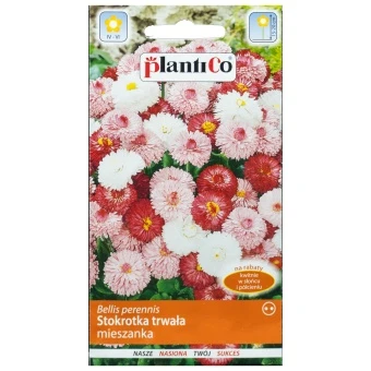 PLANTICO STOKROTKA PÓŁPEŁNA TRWAŁA 0.1G mieszanka; 197792.135