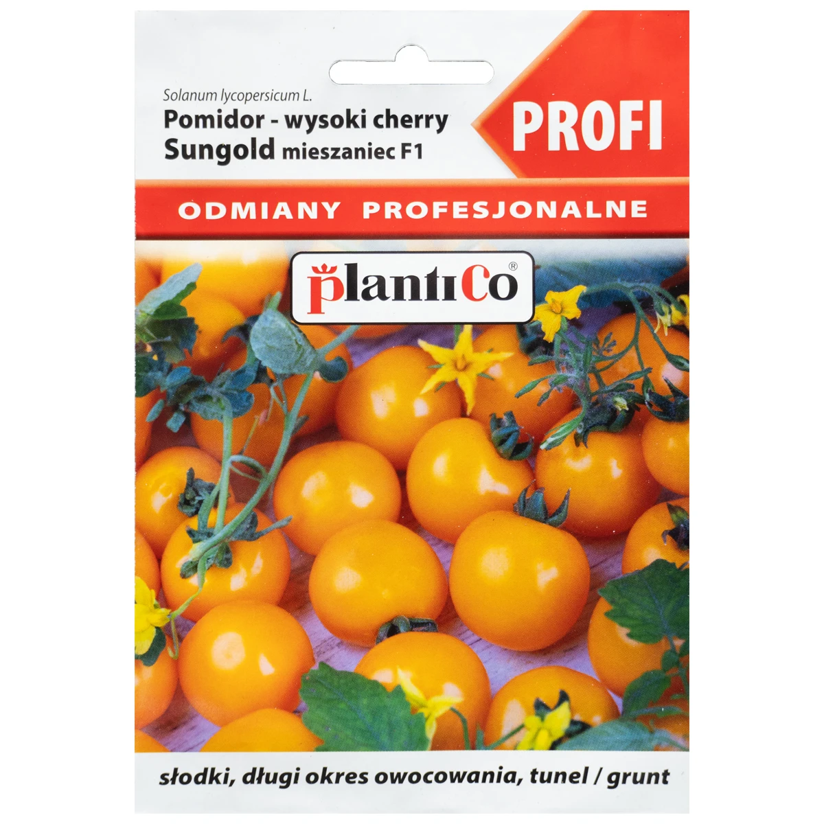 Pomidor Pod Osłony Solanum Lycopersicum L. Sungold Mieszaniec Nasiona Plantico 0,01 g
