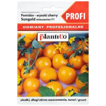 Pomidor Pod Osłony Solanum Lycopersicum L. Sungold Mieszaniec Nasiona Plantico 0,01 g