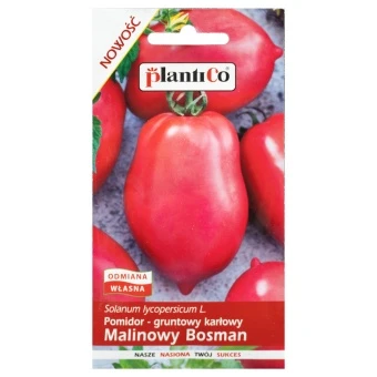 Pomidor Gruntowy Solanum Lycopersicum L. Malinowy Bosman Nasiona Plantico 0,5 g