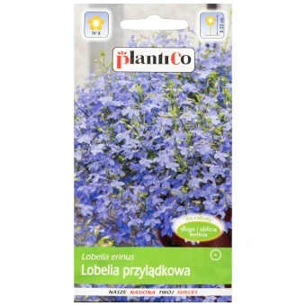 Lobelia Przylądkowa Niebieska- Arletka Nasiona Plantico 0,2 g
