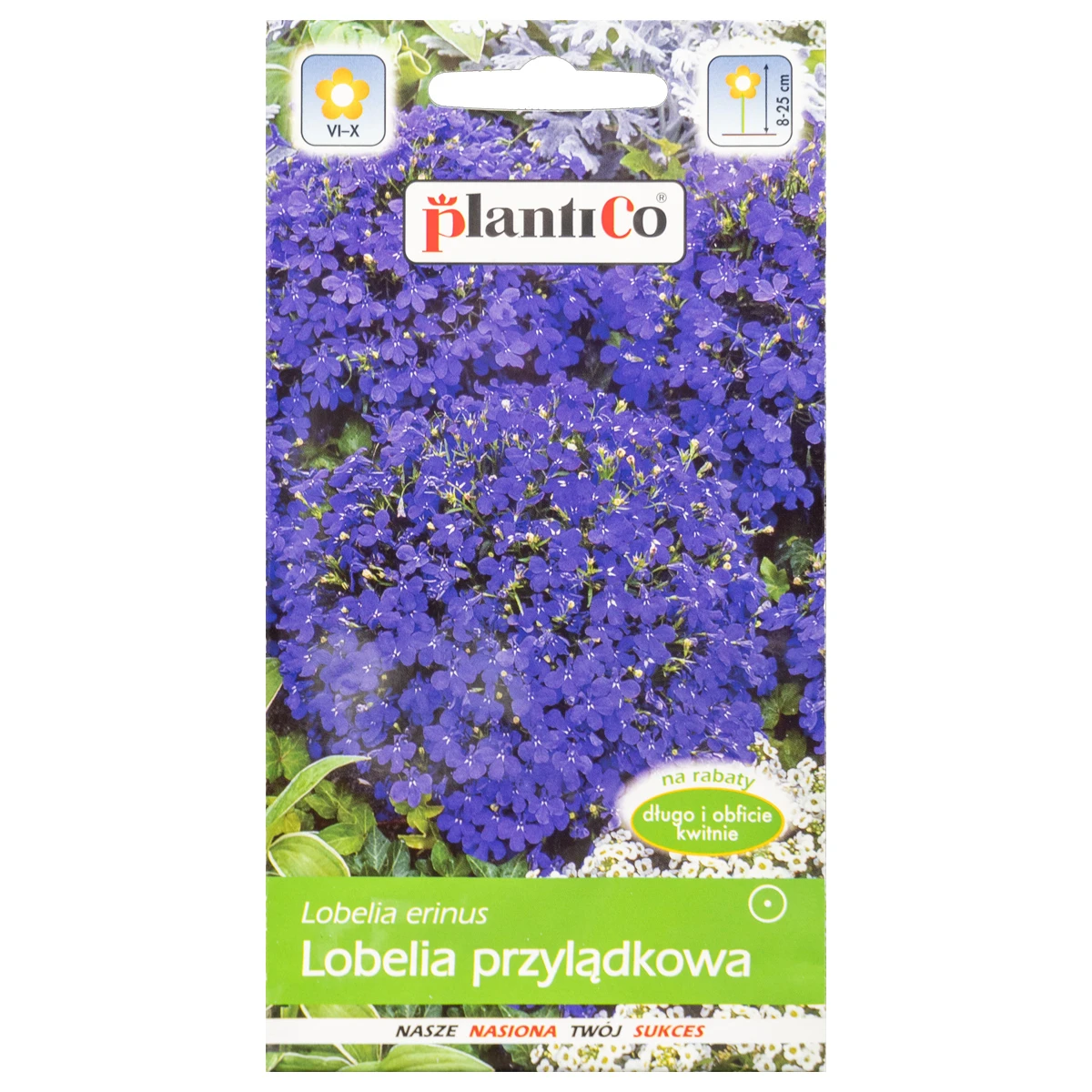 Lobelia Stroiczka Fioletowa Nasiona Plantico 0,2 g