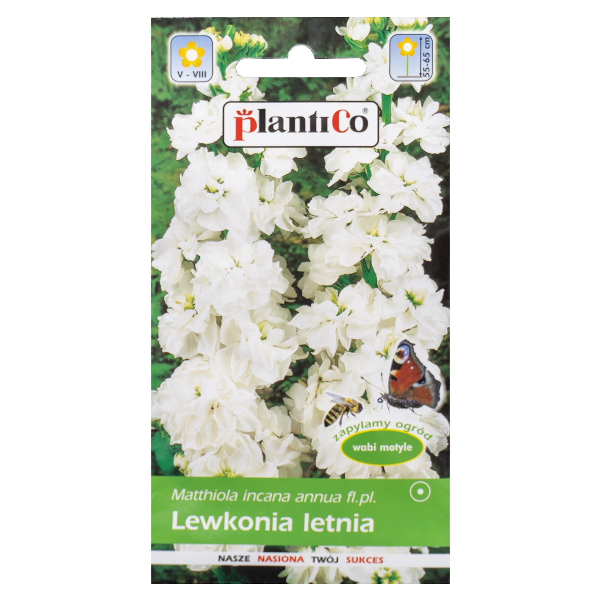 Lewkonia Letnia Biała Nasiona Plantico 0.5 g