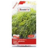Kup razem Koper Ogrodowy Atlas Nasiona Plantico 5g 