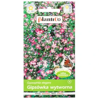 Gipsówka Wytworna  Różowa Nasiona Plantico 1 g