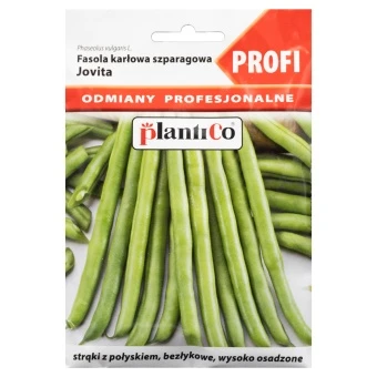 Fasola Zwykła Karłowa Zielona Jovita Nasiona Plantico 30 g