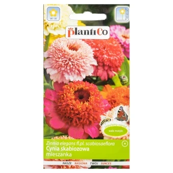 Cynia Daliowa Skabiozowa Nasiona Plantico 1 g