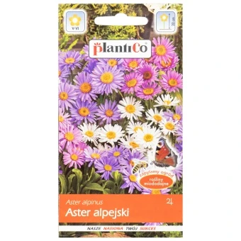 Aster Alpejski Mieszany Nasiona Plantico0,3 g