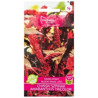  Chiński szpinak 'Amaranthus tricolor' 5g Werbena