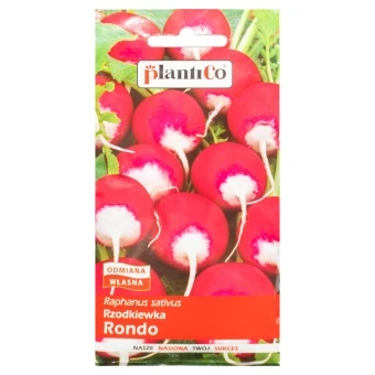 Rzodkiewka Rondo Nasiona Plantico10 g