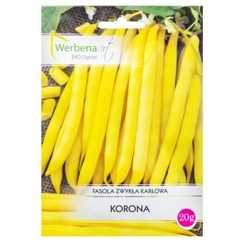  Fasola zwykła karłowa 'Korona' 20g Werbena