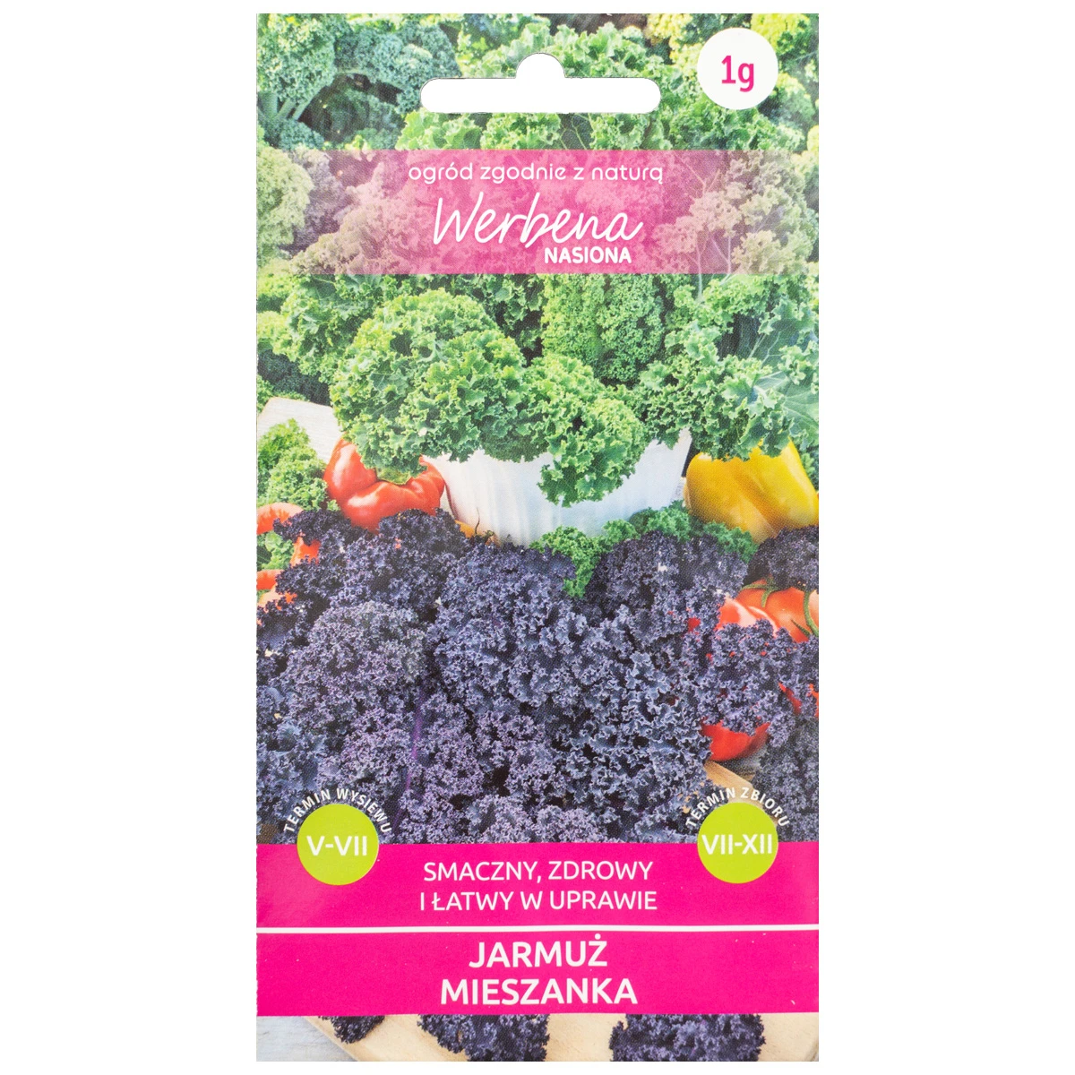 Jarmuż – mieszanka odmian 1g Werbena
