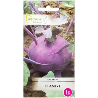 Kalarepa 'Blankyt' 1g Werbena