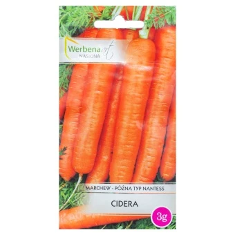 Marchew 'Cidera' 3g Werbena