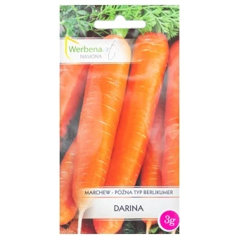 Marchew 'Darina' 3g Werbena