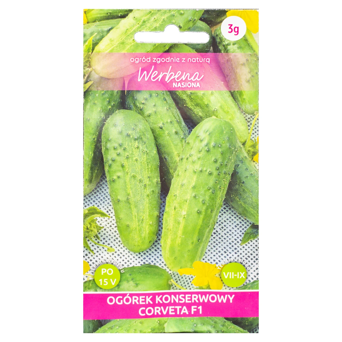 Ogórek konserwowy 'Corveta' F1 3g Werbena
